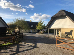 Anneks v/Stevns Klint, Store Heddinge
